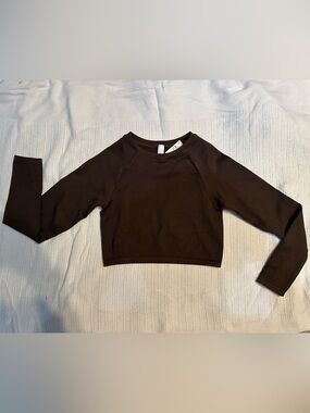 aerie Brown Ribbed Long-Sleeve Crop Top